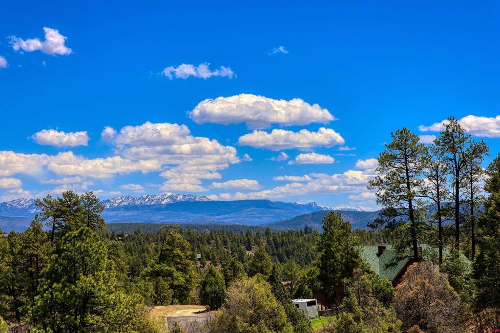 97 Evans Court Pagosa Springs CO 81147