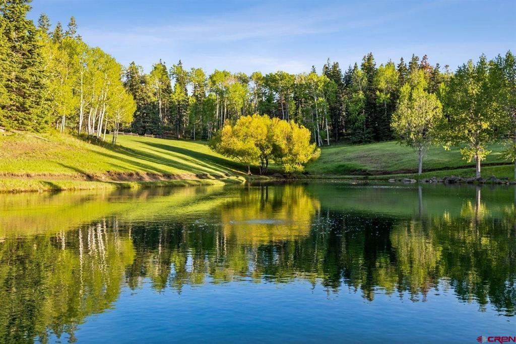 401 Usfs 668 Pagosa Springs CO 81147