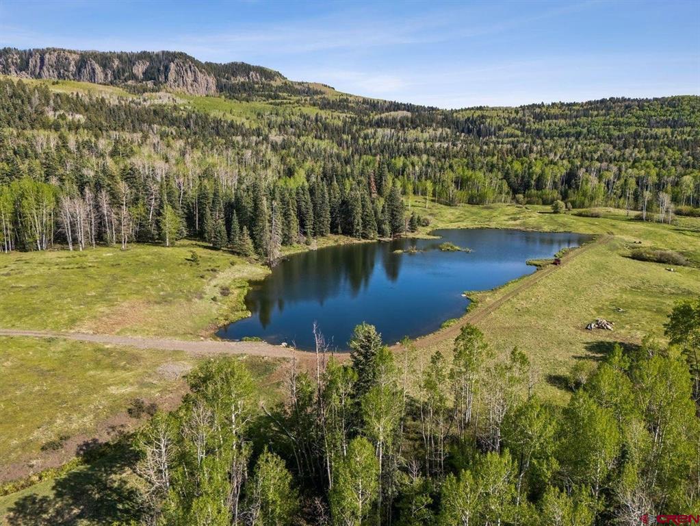 401 Usfs 668 Pagosa Springs CO 81147
