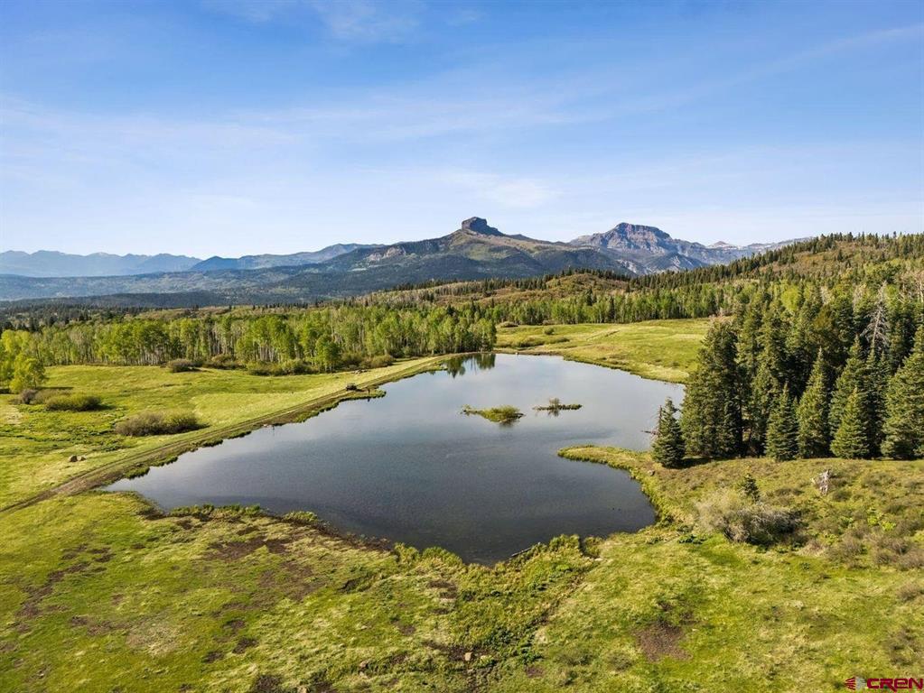 401 Usfs 668 Pagosa Springs CO 81147