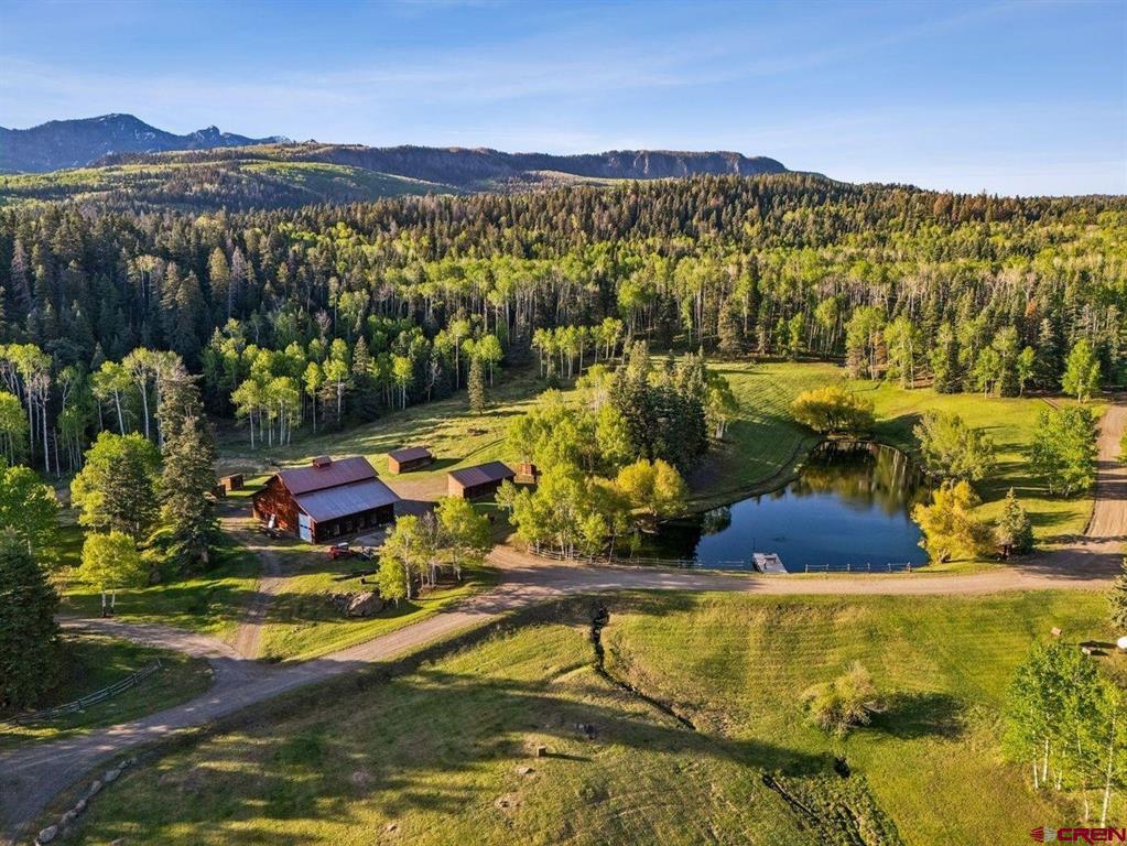 401 Usfs 668 Pagosa Springs CO 81147
