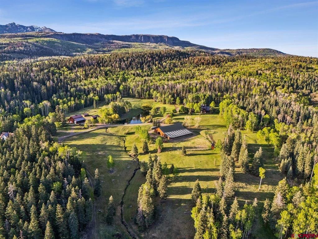 401 Usfs 668 Pagosa Springs CO 81147