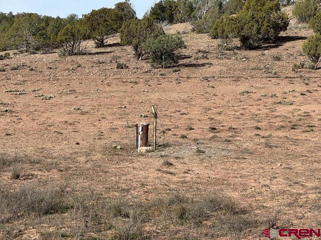 2178 County Road 309a Ignacio CO 81137