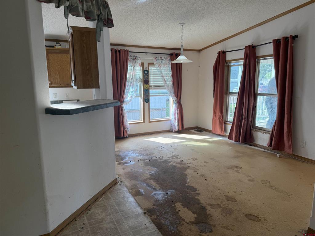 107 E Sunset Drive Mancos CO 81328