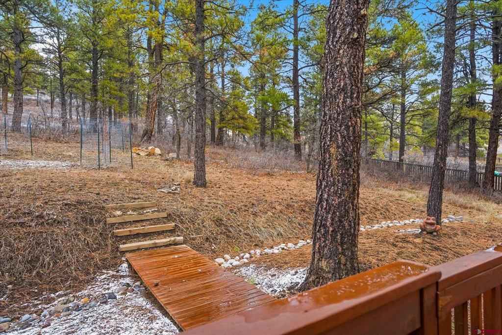 279 Capitan Circle Pagosa Springs CO 81147