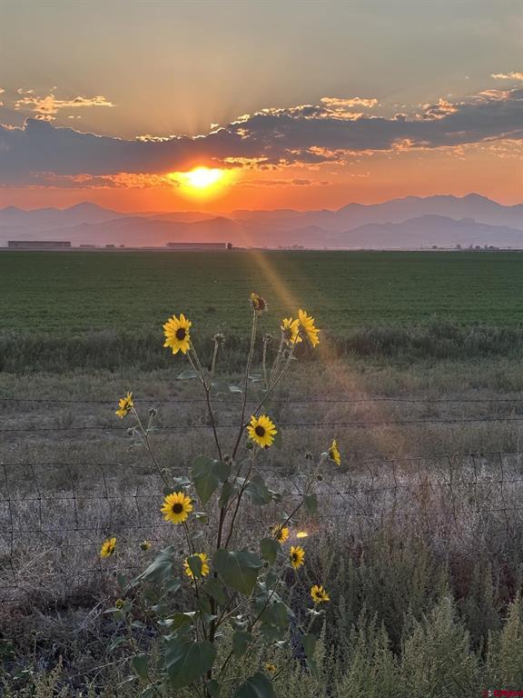 2218 County Road 43 Del Norte CO 81132
