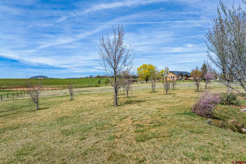 676 Florida Meadows Lane Durango CO 81303