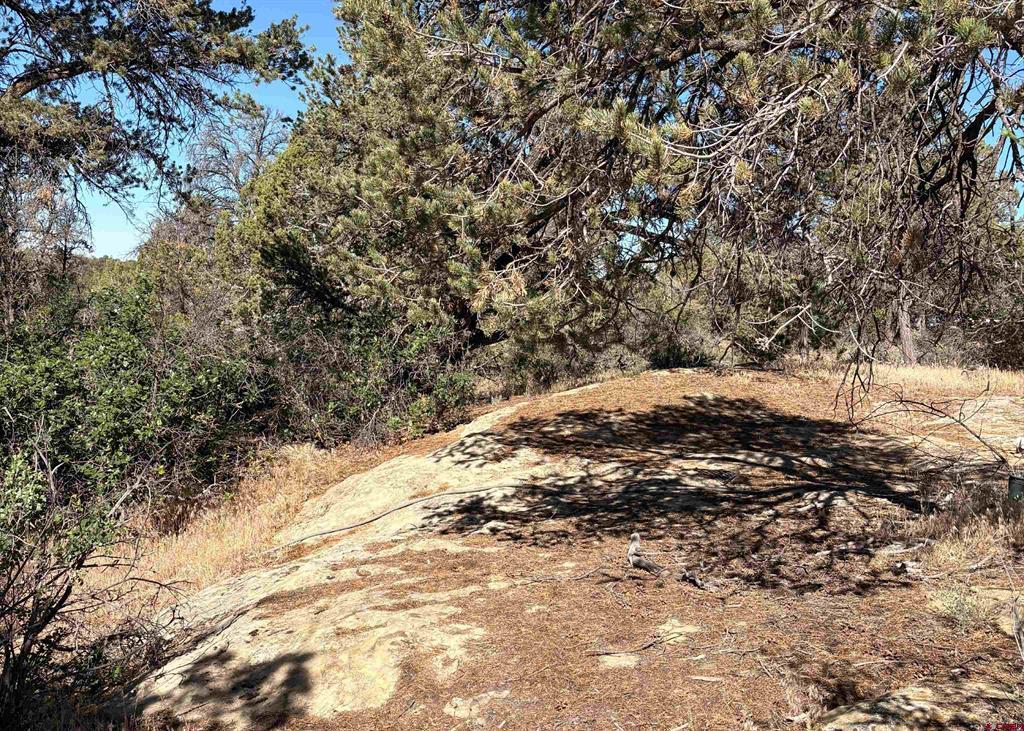 333 Cow Canyon Road Ignacio CO 81137