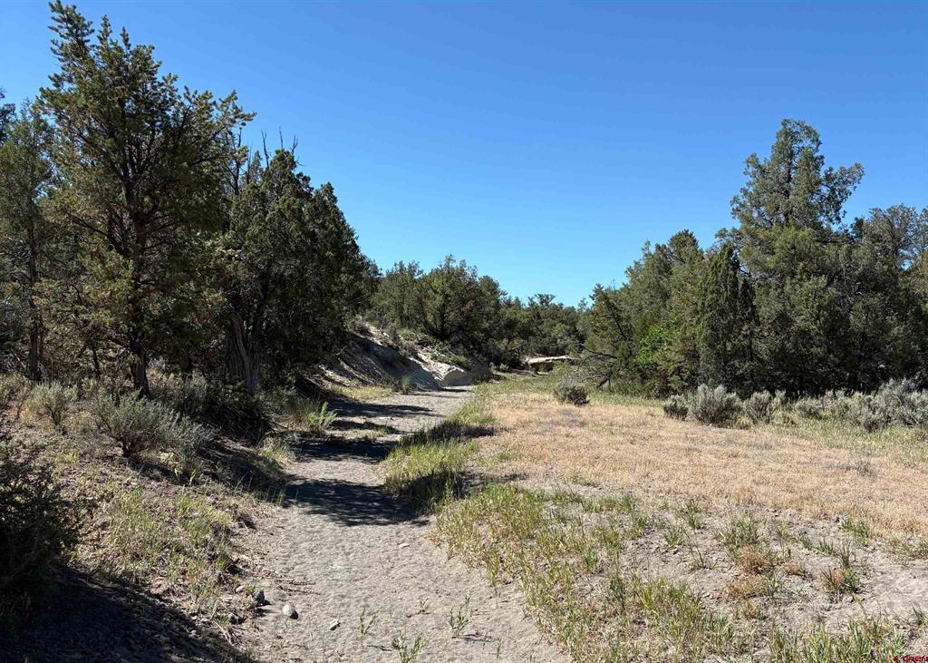 333 Cow Canyon Road Ignacio CO 81137