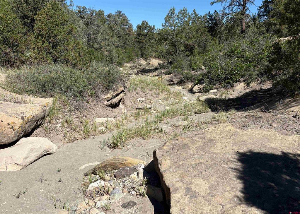 333 Cow Canyon Road Ignacio CO 81137