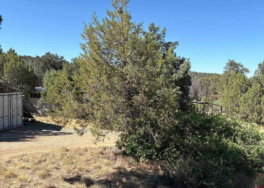 333 Cow Canyon Road Ignacio CO 81137