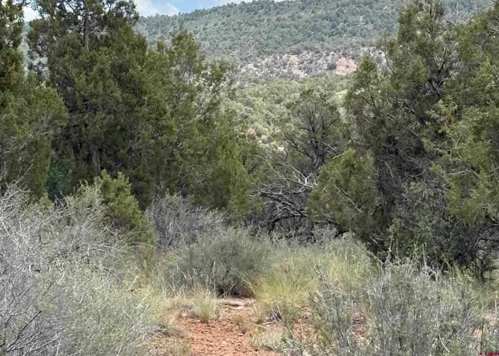 333 Cow Canyon Road Ignacio CO 81137
