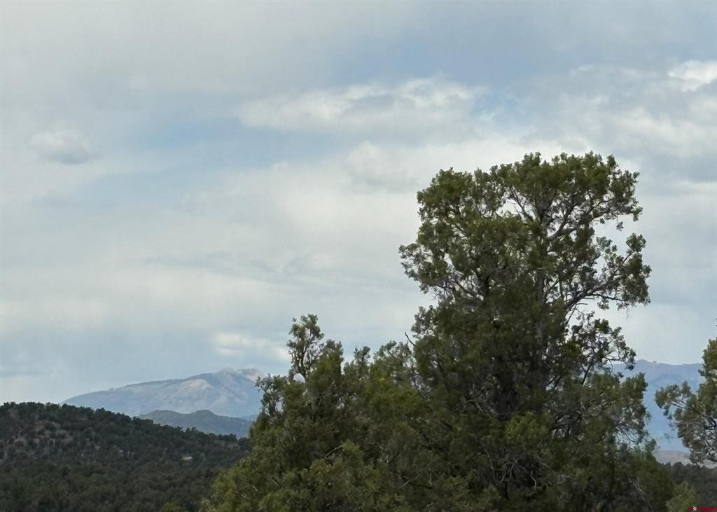 333 Cow Canyon Road Ignacio CO 81137