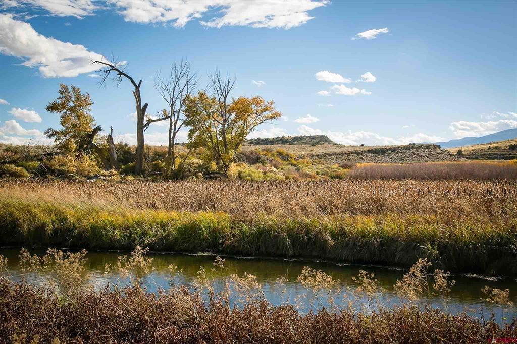 6771 W County Road 5 N Del Norte CO 81132