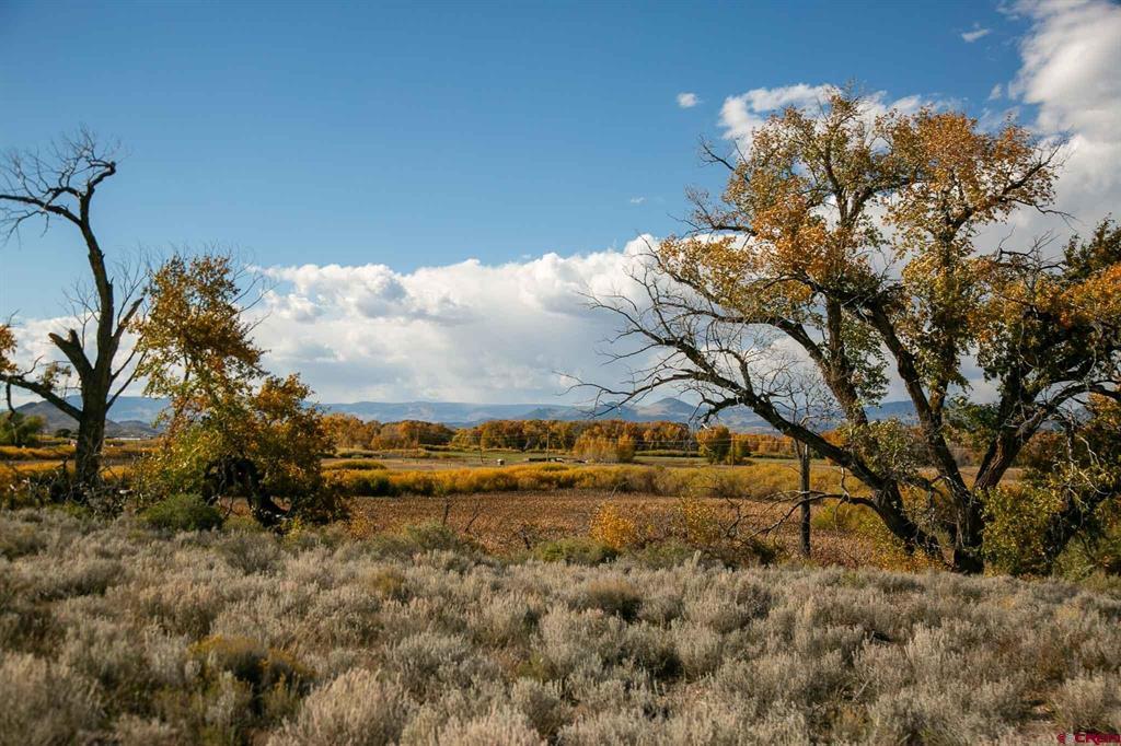 6771 W County Road 5 N Del Norte CO 81132