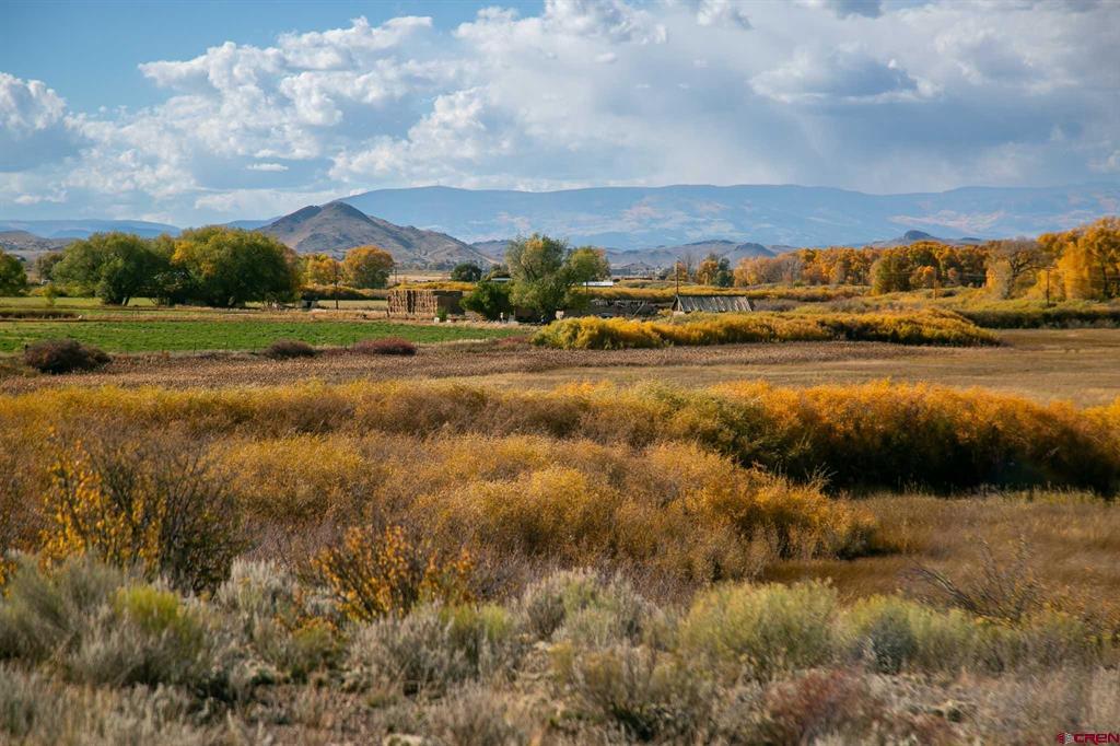 6771 W County Road 5 N Del Norte CO 81132