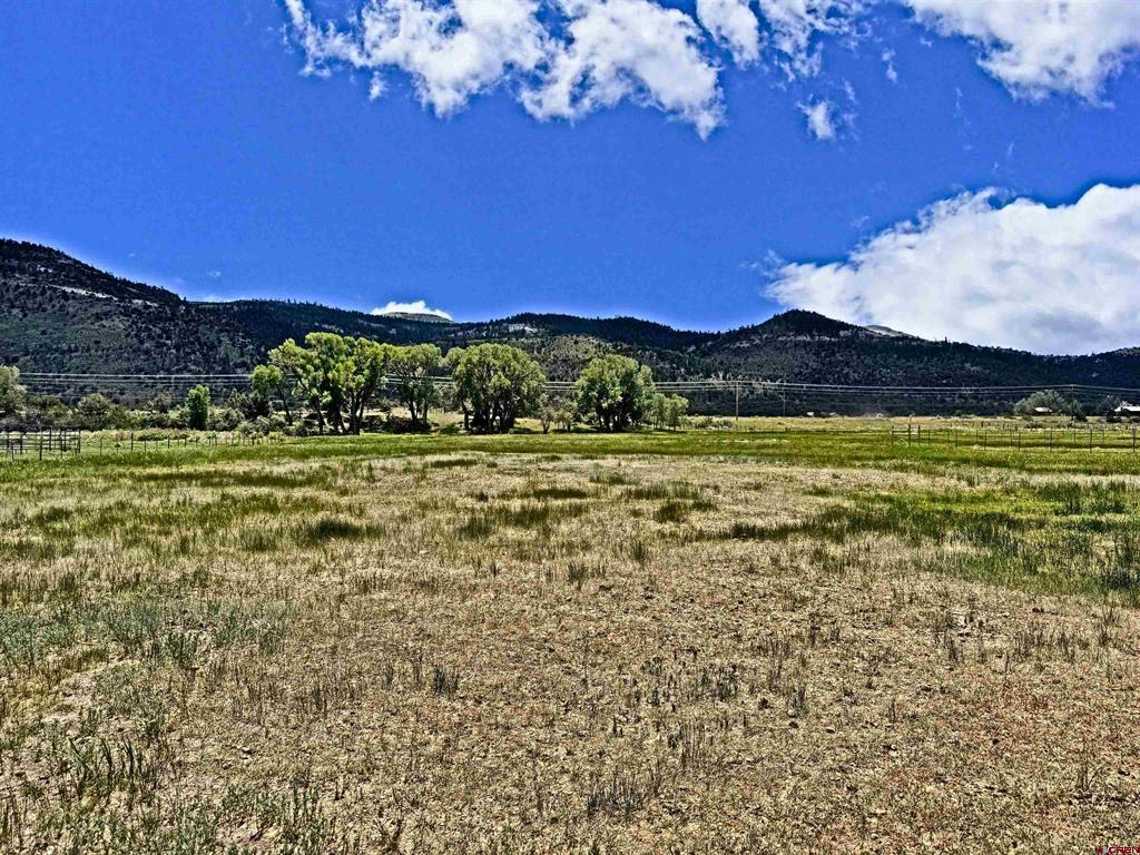 540 Comanche Trail South Fork CO 81154