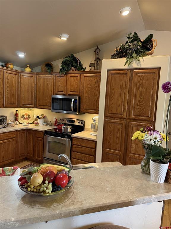 3109 Ivy Drive Montrose CO 81402