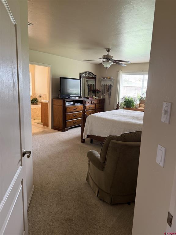 3109 Ivy Drive Montrose CO 81402