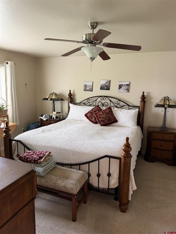 3109 Ivy Drive Montrose CO 81402