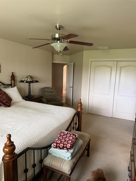 3109 Ivy Drive Montrose CO 81402