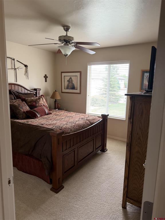 3109 Ivy Drive Montrose CO 81402