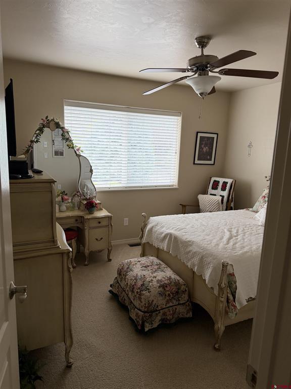 3109 Ivy Drive Montrose CO 81402