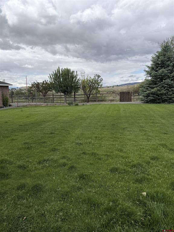 3109 Ivy Drive Montrose CO 81402