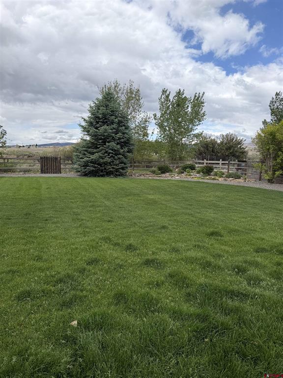 3109 Ivy Drive Montrose CO 81402