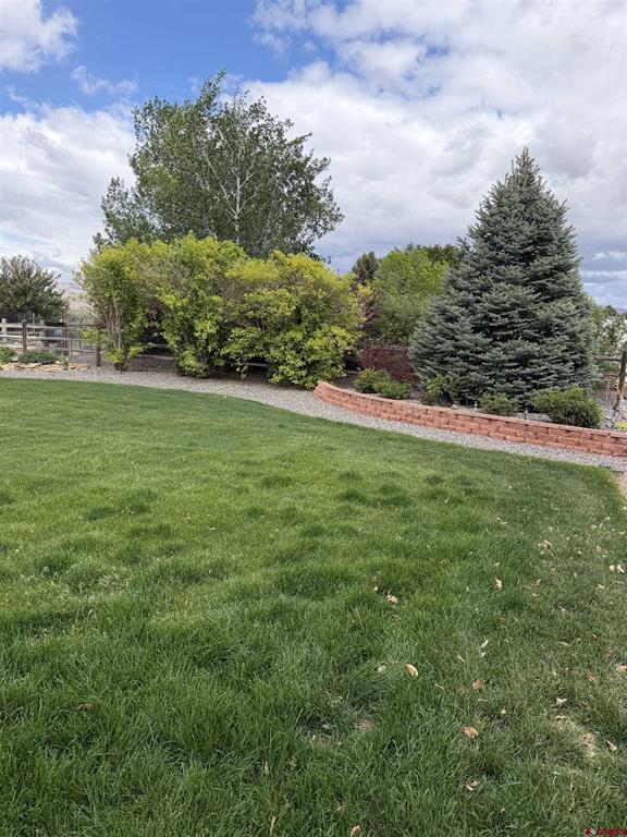 3109 Ivy Drive Montrose CO 81402