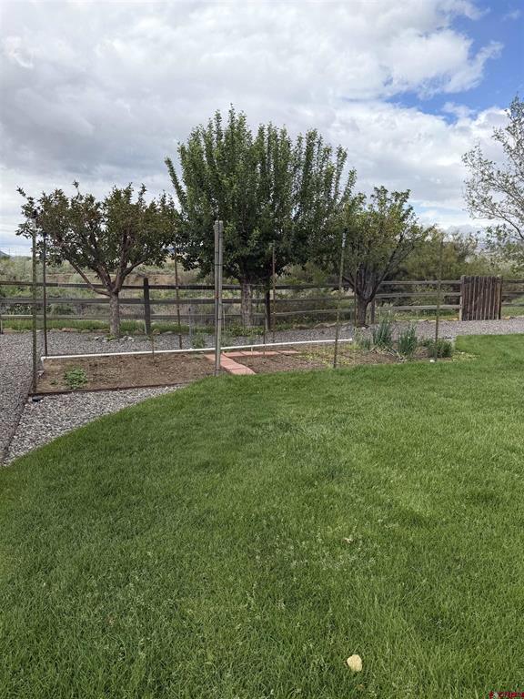 3109 Ivy Drive Montrose CO 81402