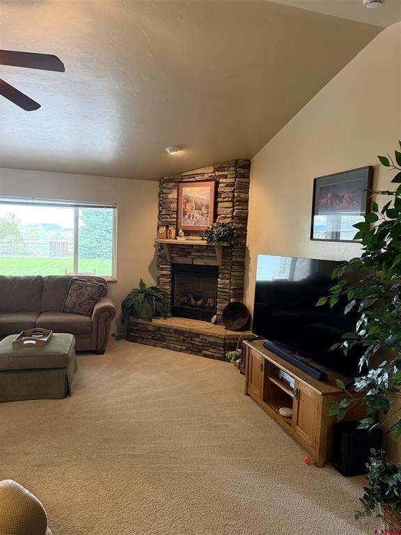 3109 Ivy Drive Montrose CO 81402