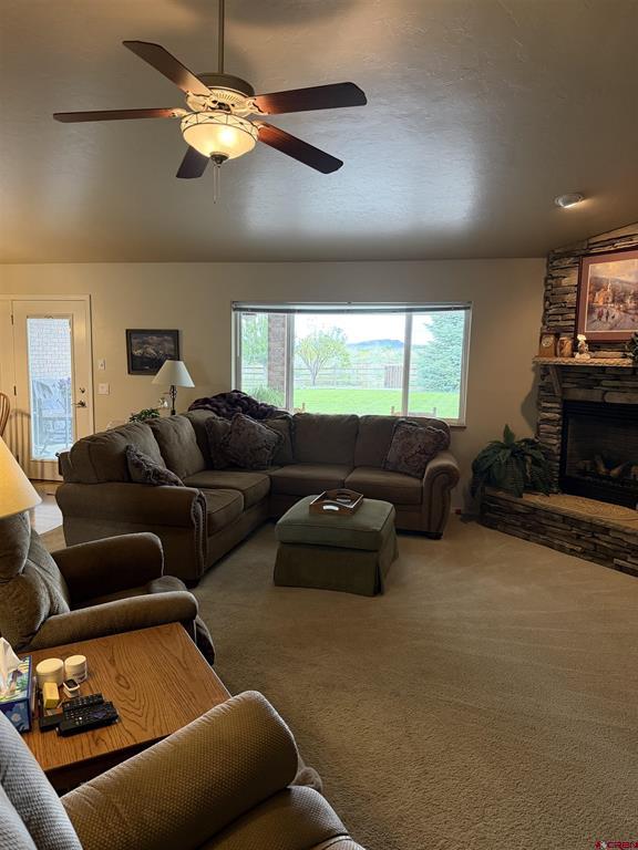3109 Ivy Drive Montrose CO 81402