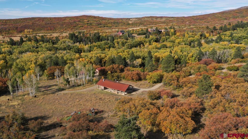 3456 County Road 124 Hesperus CO 81326