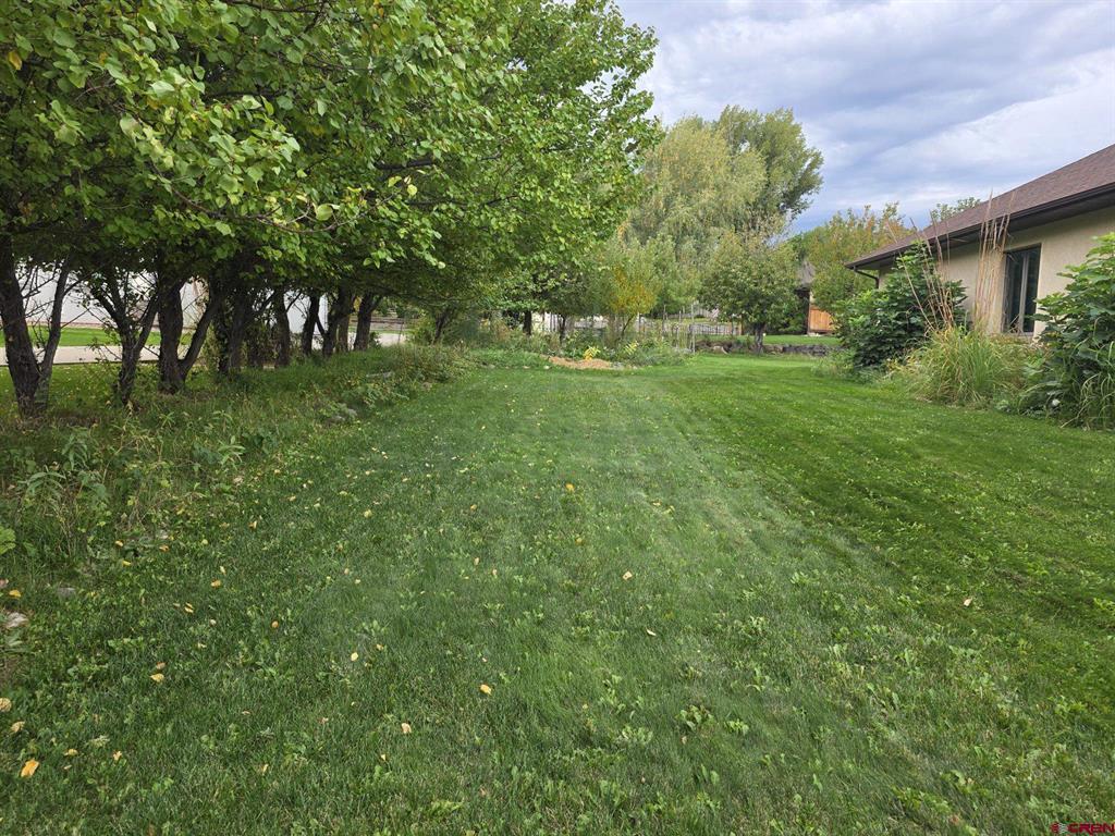 4201 Waterfall Drive Montrose CO 81401