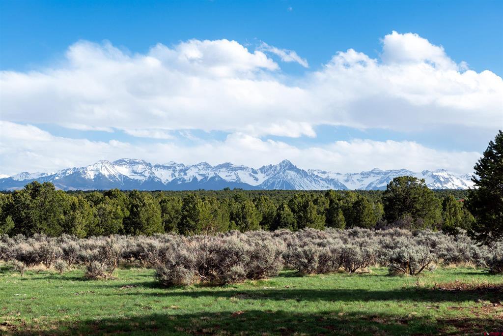 948 Sage Road Montrose CO 81403