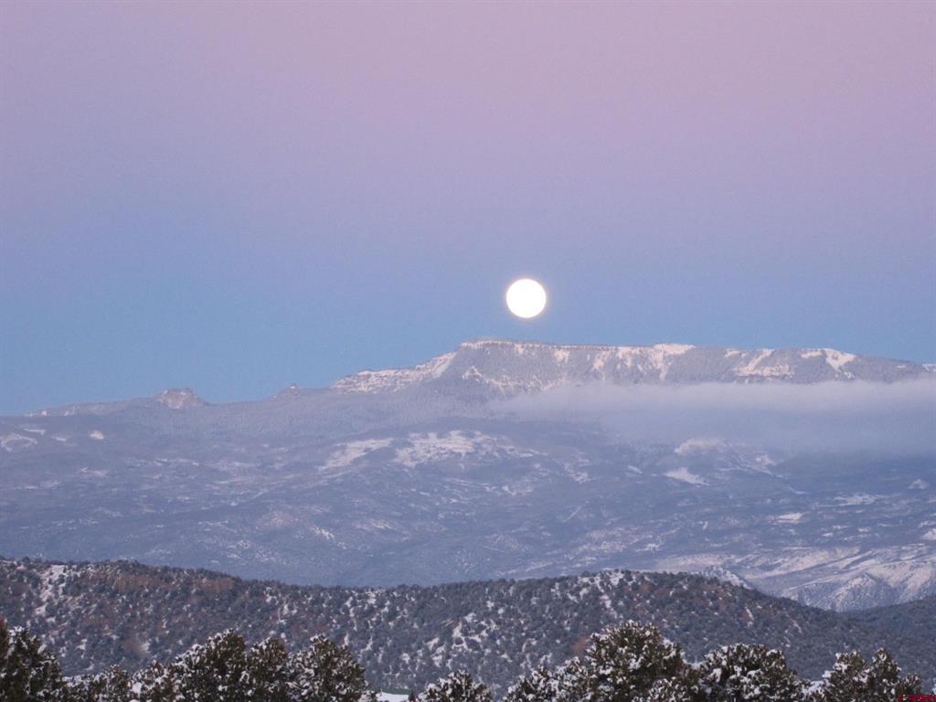 230 Sunrose Lane Montrose CO 81403