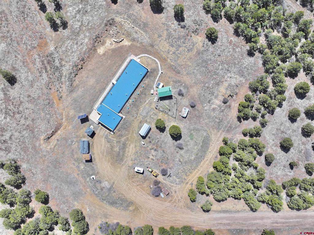 230 Sunrose Lane Montrose CO 81403