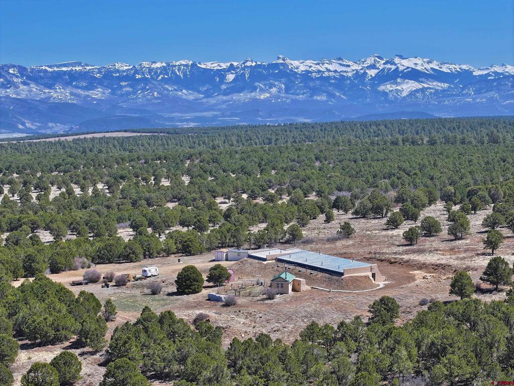 230 Sunrose Lane Montrose CO 81403