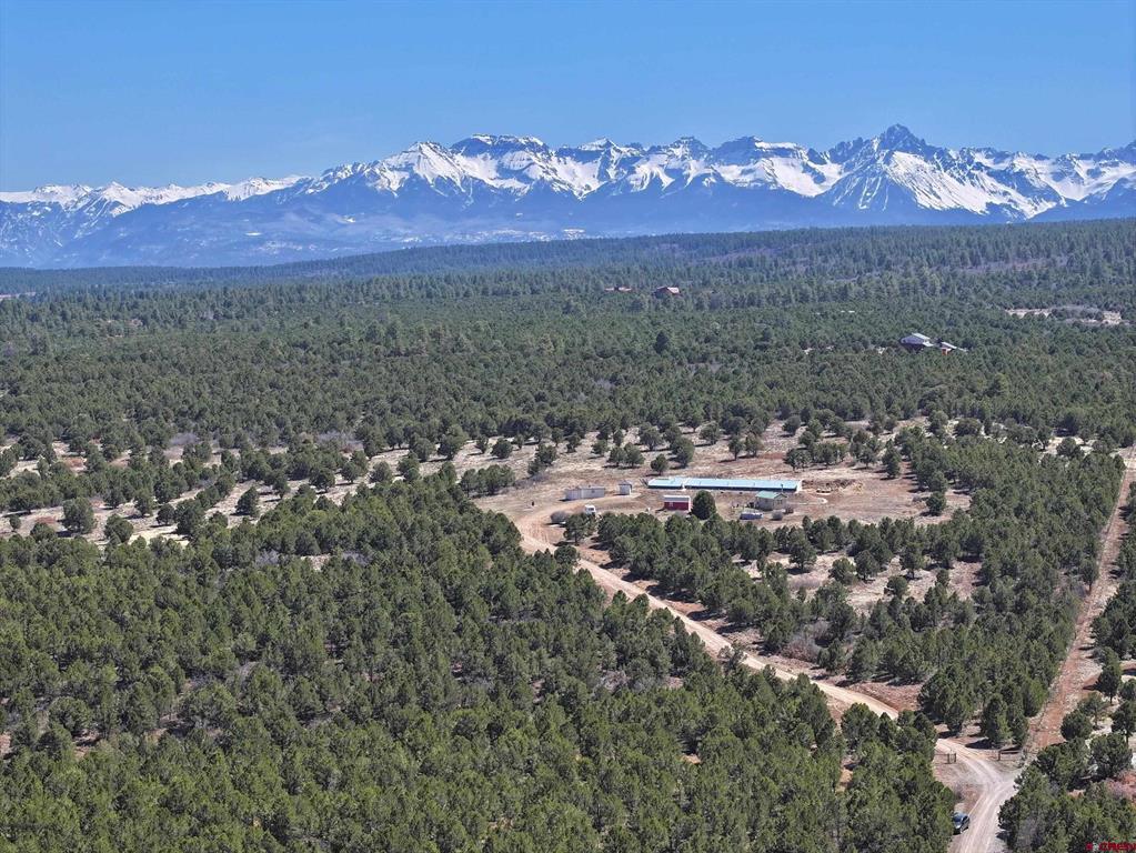 230 Sunrose Lane Montrose CO 81403