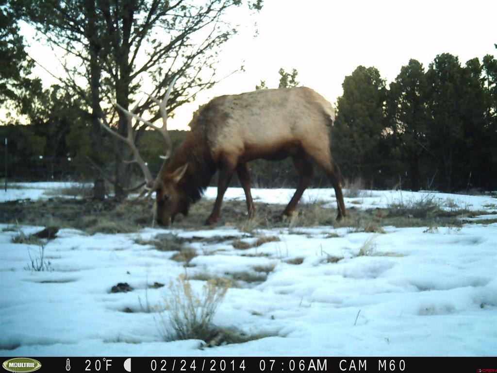 230 Sunrose Lane Montrose CO 81403