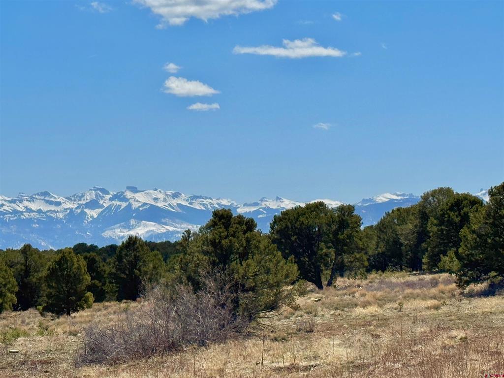 230 Sunrose Lane Montrose CO 81403