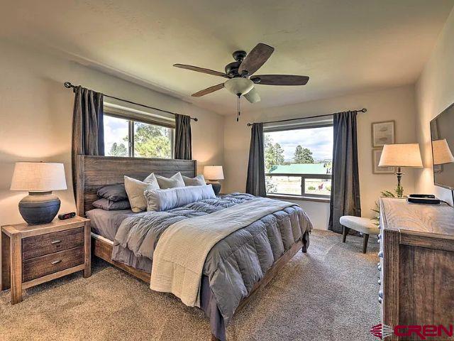 293 Hatcher Circle Pagosa Springs CO 81147