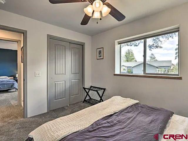 293 Hatcher Circle Pagosa Springs CO 81147