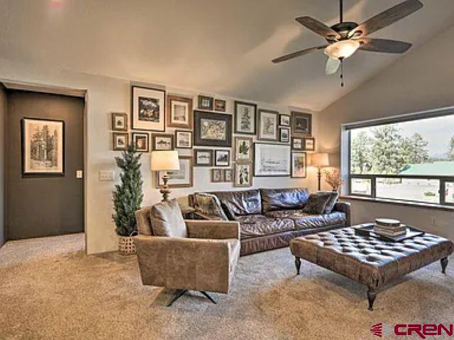 293 Hatcher Circle Pagosa Springs CO 81147