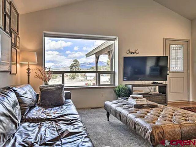 293 Hatcher Circle Pagosa Springs CO 81147
