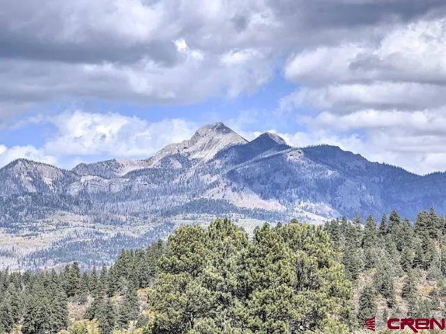 293 Hatcher Circle Pagosa Springs CO 81147