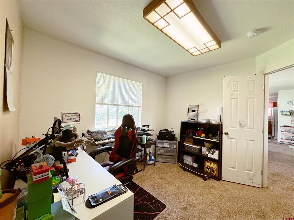 1649 Sneffels Street Montrose CO 81401
