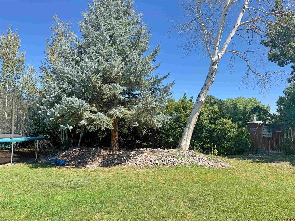 1649 Sneffels Street Montrose CO 81401