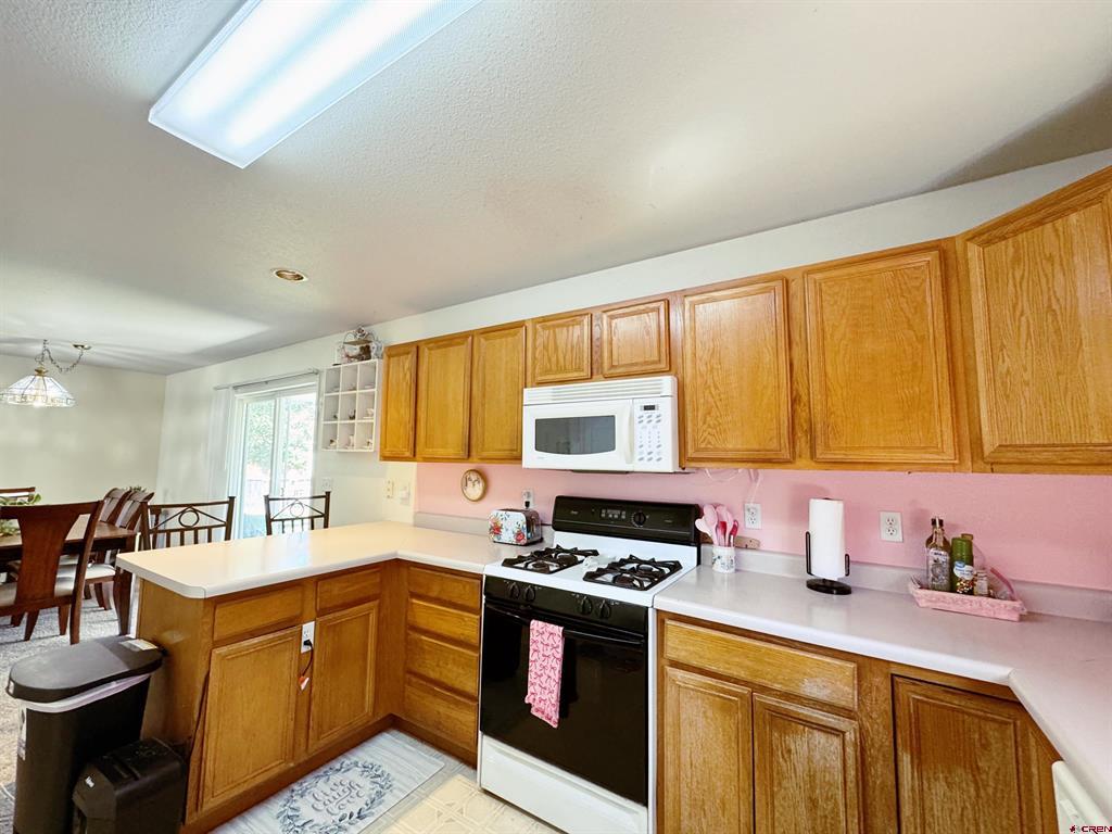 1649 Sneffels Street Montrose CO 81401